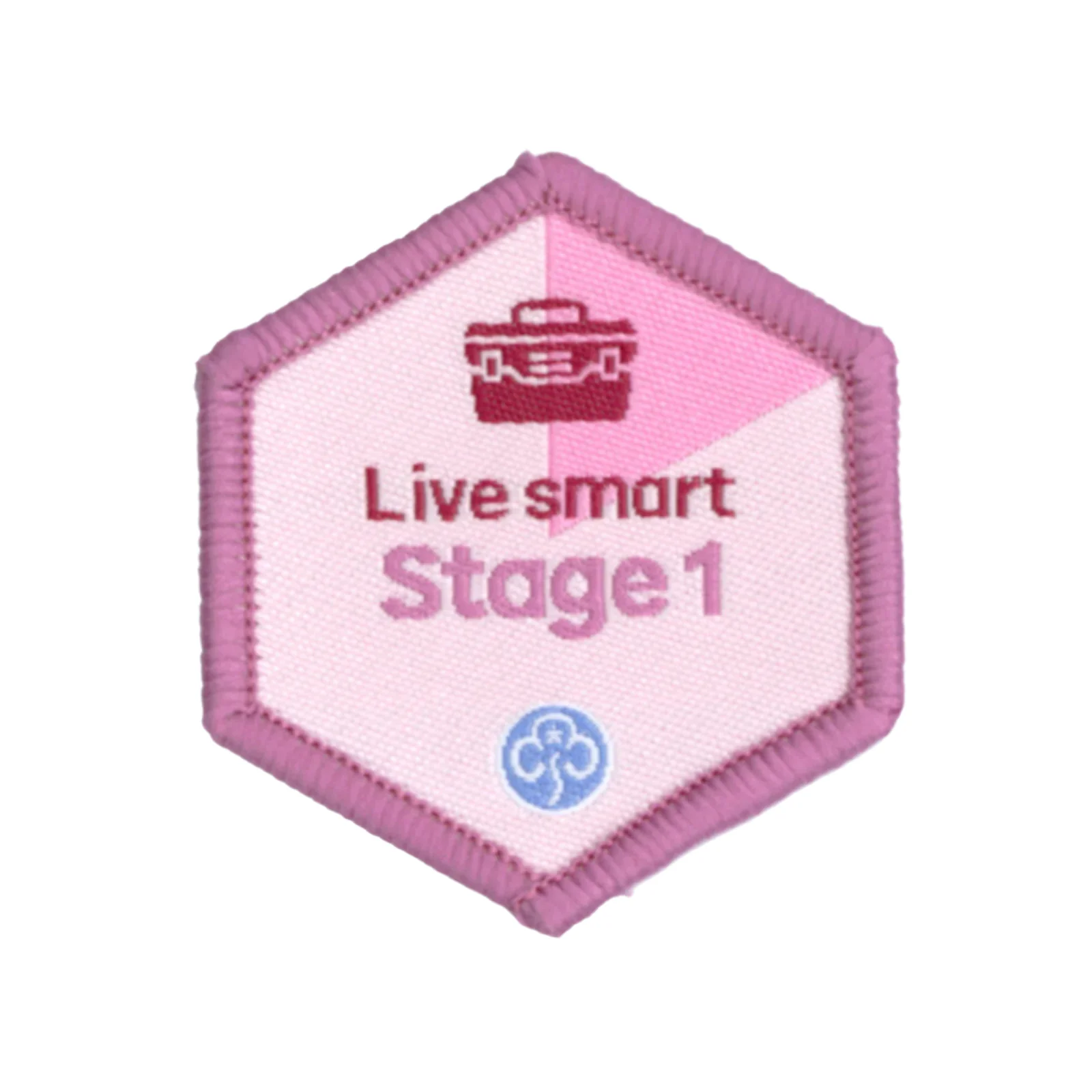 Skills builder - Live smart (Stage 1-6) - Image 2
