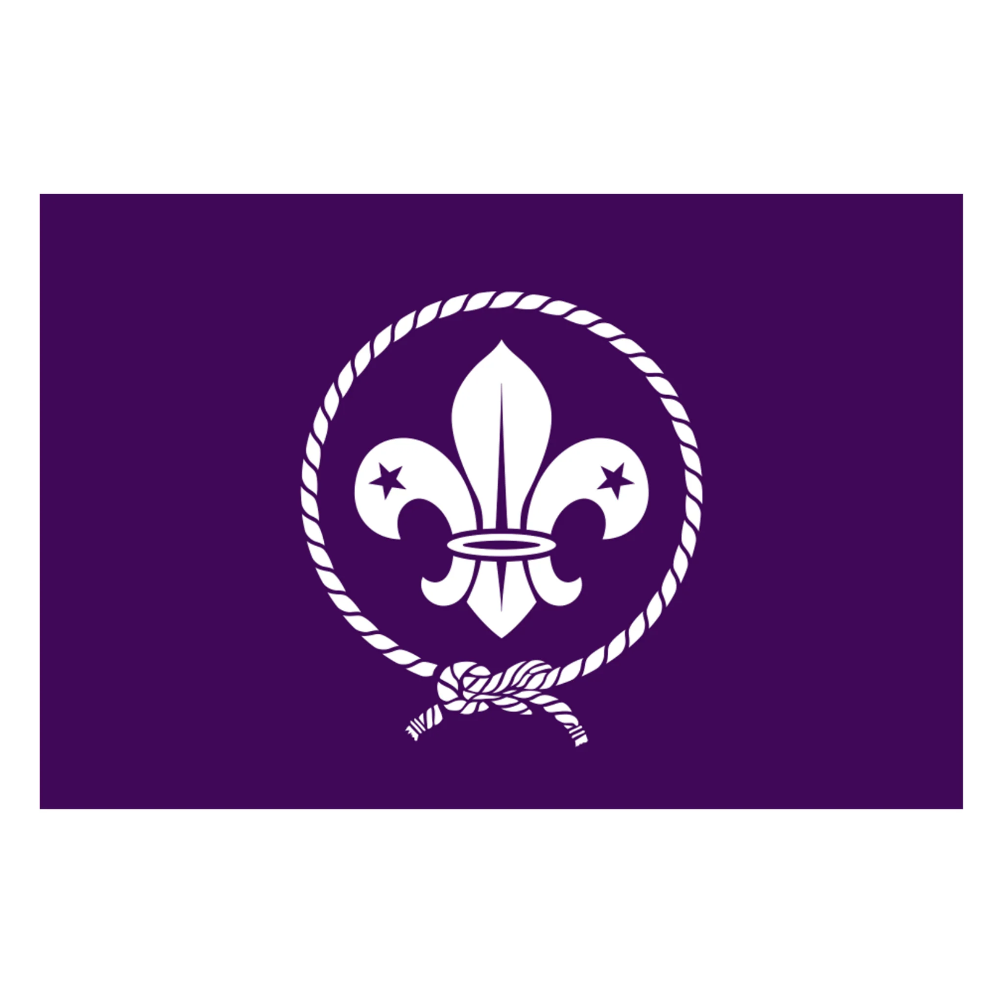 World Scout Flag - 180 x 300cm